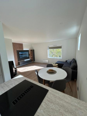 New apartment in city center